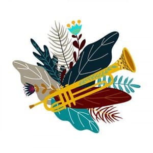 Chill Bossa Groove