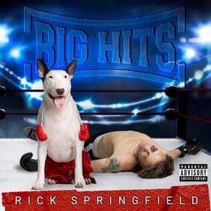 Big Hits: Rick Springfields Greatest Hits, Vol. 2