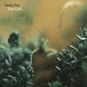 Katy Lied (Remastered 2025)