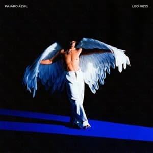 PAJARO AZUL