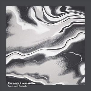 Demande a la poussiere