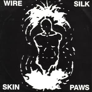 Silk Skin Paws