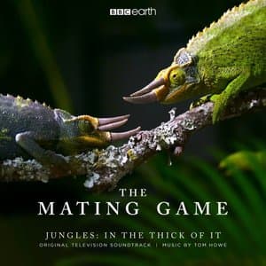 The Mating Game - Jungles: In the Thick of It (Original Television Soundtrack)