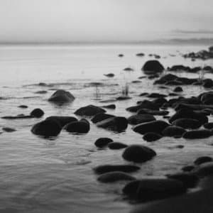 Flowing Forms