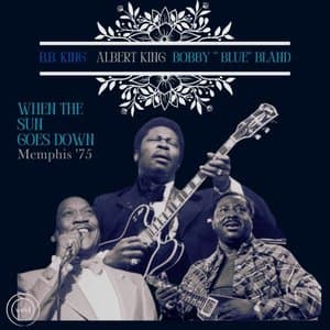 When The Sun Goes Down (Live Memphis 75)