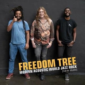 Modern Acoustic World Jazz Rock