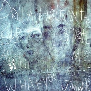 Drill a Hole in that Substrate and Tell Me What You See (Deluxe 20th Anniversary Edition)