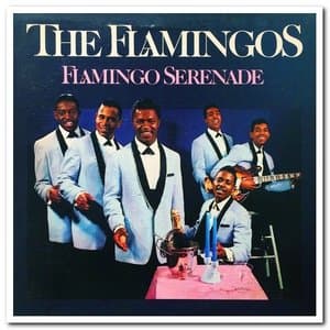 Flamingo Serenade