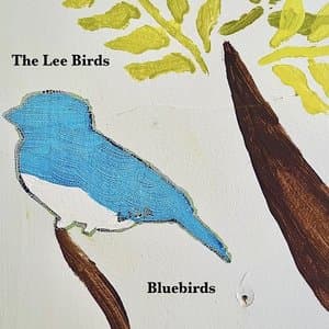 Bluebirds