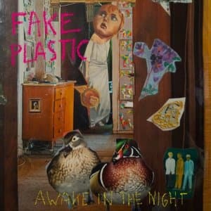 Awake in the Night