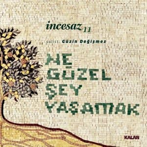 Ne Guzel Sey Yasamak
