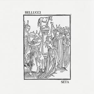 Seta