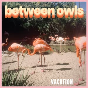 Vacation