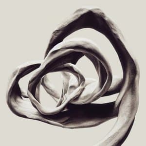 Infinita Series