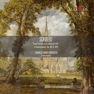 Schubert: Piano Sonata in A minor, D. 537 - 4 Impromptus, Op. 90, D. 899