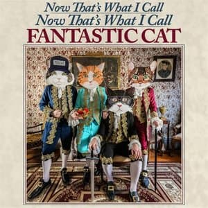 Now Thats What I Call Now Thats What I Call Fantastic Cat (Deluxe Edition)