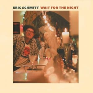 Wait for the Night