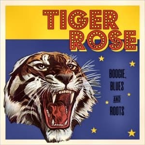 Boogie, Blues And Roots
