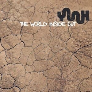 The World Inside Out