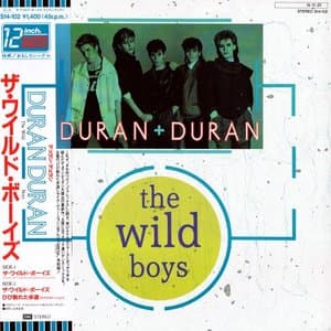 The Wild Boys