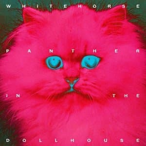 Panther In The Dollhouse