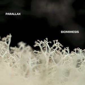 Biomimesis