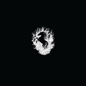 The Besnard Lakes Are A Live