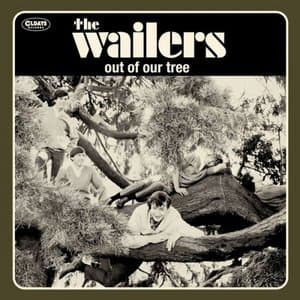 Out of Our Tree / BONUS TRACKS