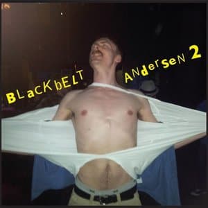 Blackbelt Andersen 2