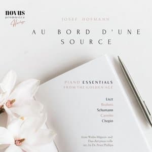 Au Bord Dune Source. Piano Essentials from the Golden Age (Extended edition)
