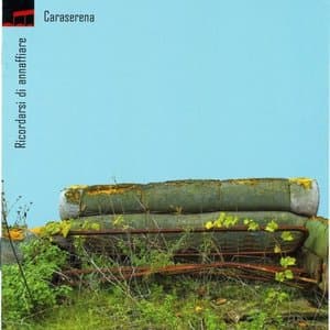 Ricordarsi Di Annaffiare