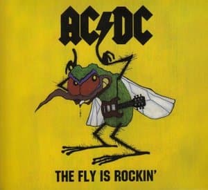 The Fly Is Rockin