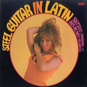 Steel Guitar In Latin / suchi-ru*gita-*in*raten
