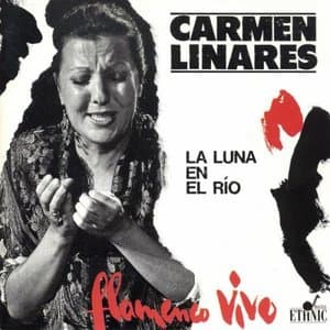 Flamenco Vivo (La Luna en el Rio)