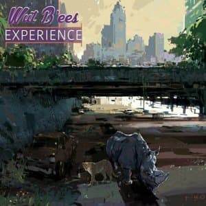 Experience
