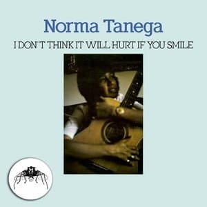 I Dont Think It Will Hurt If You Smile