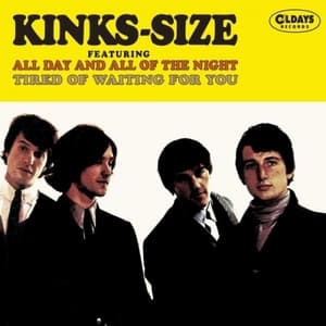 Kinks-Size / Bonus Track