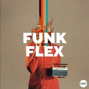 Funk Flex