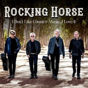I Dont Like Country Music... I Love It