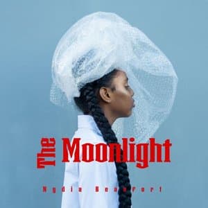 The Moonlight
