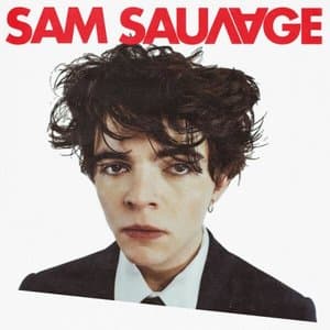Sam Sauvage