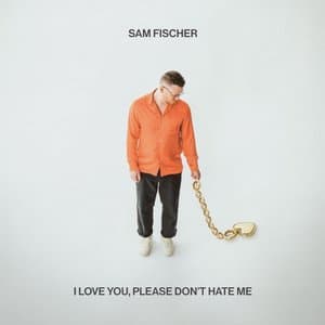 I Love You, Please Dont Hate Me