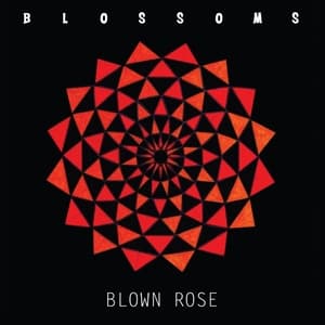 Blown Rose