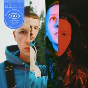 Assumptions (slowed down version)
