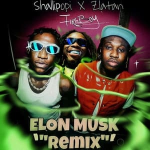 Elon Musk (feat. Fireboy DML) (Remix)