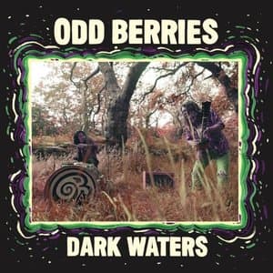 Dark Waters