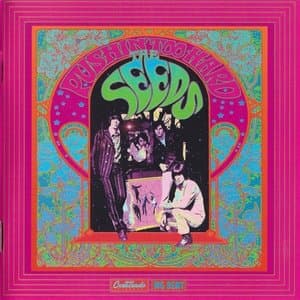 The Seeds - Pushin Too Hard - Original Soundtrack