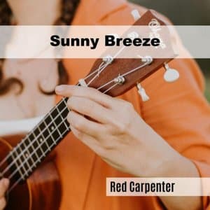 Sunny Breeze