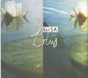 Lotus