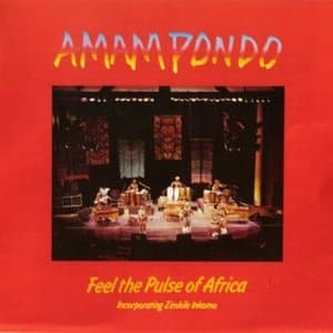 Feel the Pulse of Africa